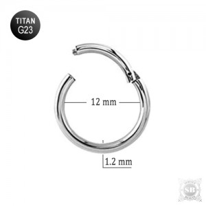 Сегментное кольцо 12*1.2 mm. Silver