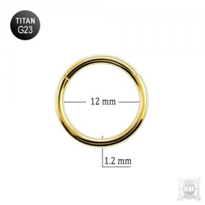 Сегментное кольцо 12*1.2 mm. Gold