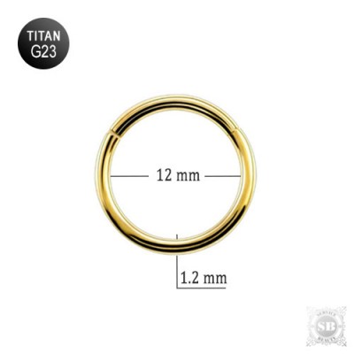 Кольцо - кликер 12 х 1.2  мм. Gold из титана G23